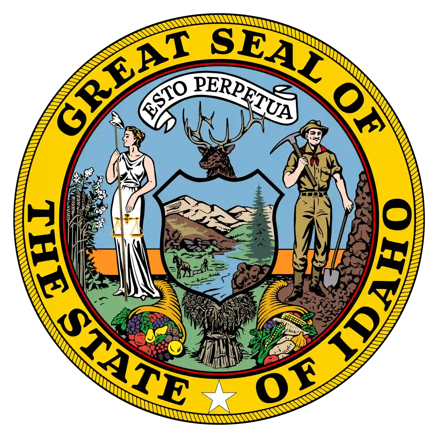 Medical Billing and Coding Services in Idaho That Deliver Measurable Results